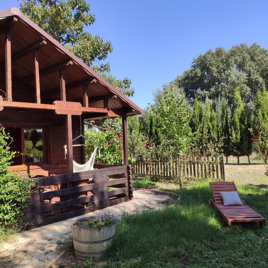 Maison d'hôtes Pago de Tharsys à Requena Extérieur photo