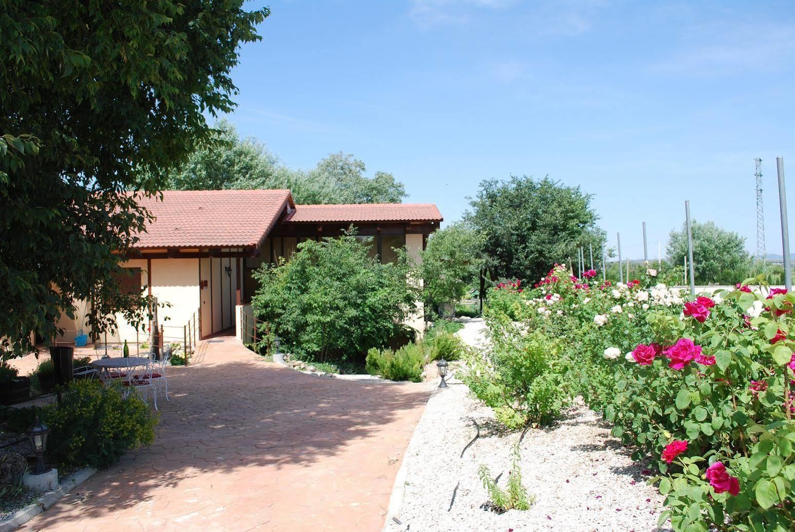 Maison d'hôtes Pago de Tharsys à Requena Extérieur photo