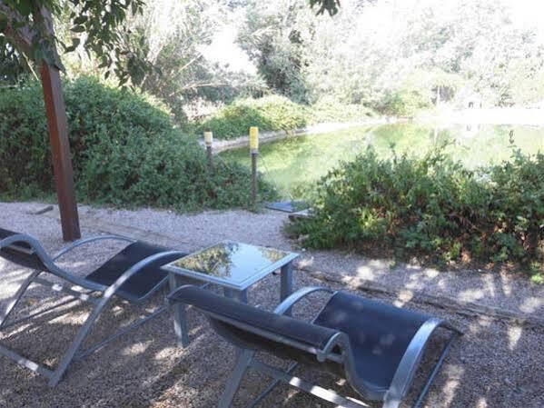 Maison d'hôtes Pago de Tharsys à Requena Extérieur photo